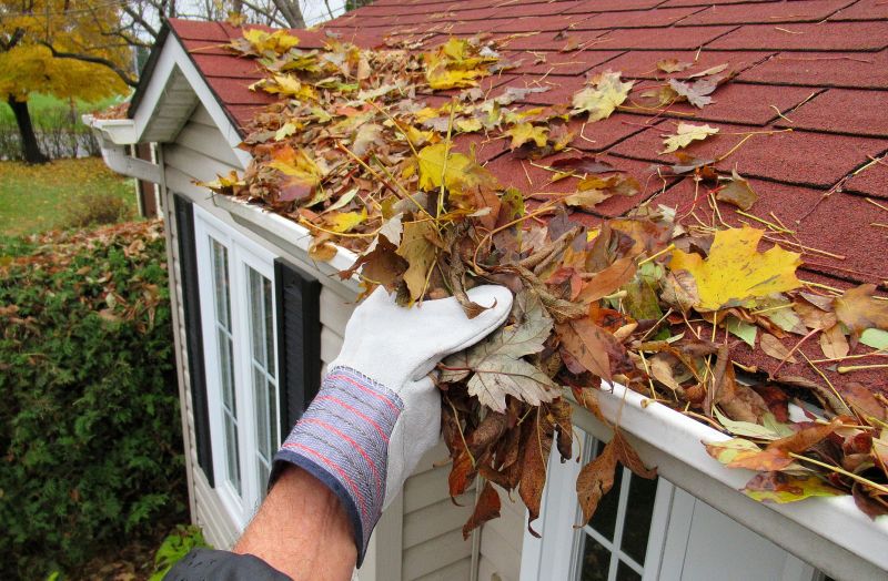 When to Hire Gutter Professionals